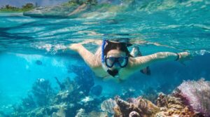 Best Snorkeling Tours for an Underwater Adventure