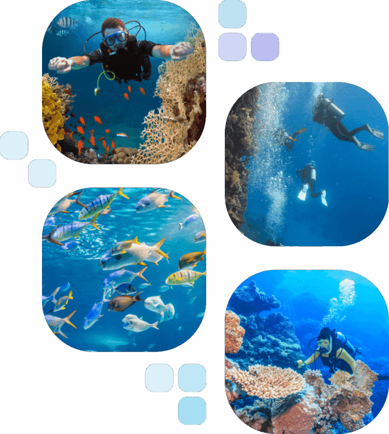 diving about scuba