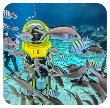 Underwater scooter tour activity