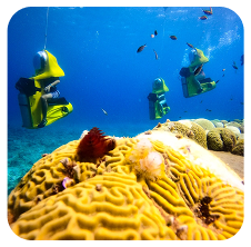 Underwater scooter tour activity