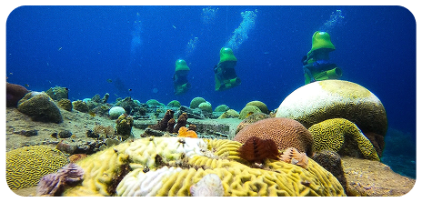 View of underwater scooter tour