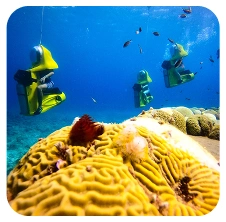 Underwater scooter tour activity